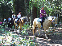 Attractions & activities . riding